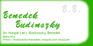 benedek budinszky business card